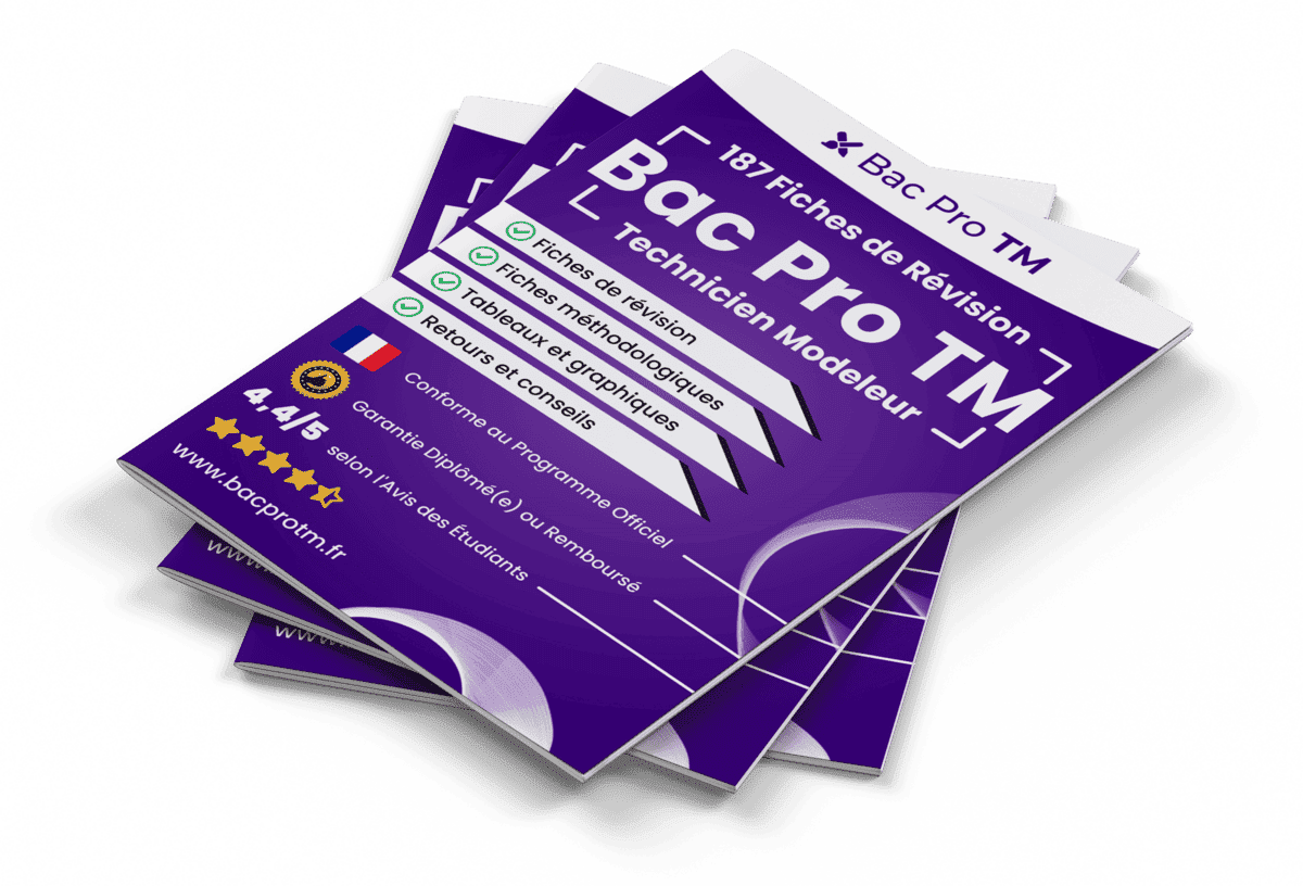 187 Fiches de Révision pour le Bac Pro TM